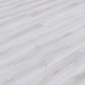 MIB-0049 Дуб Тонгерло